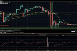 权益分派股权登记日究竟是什么？